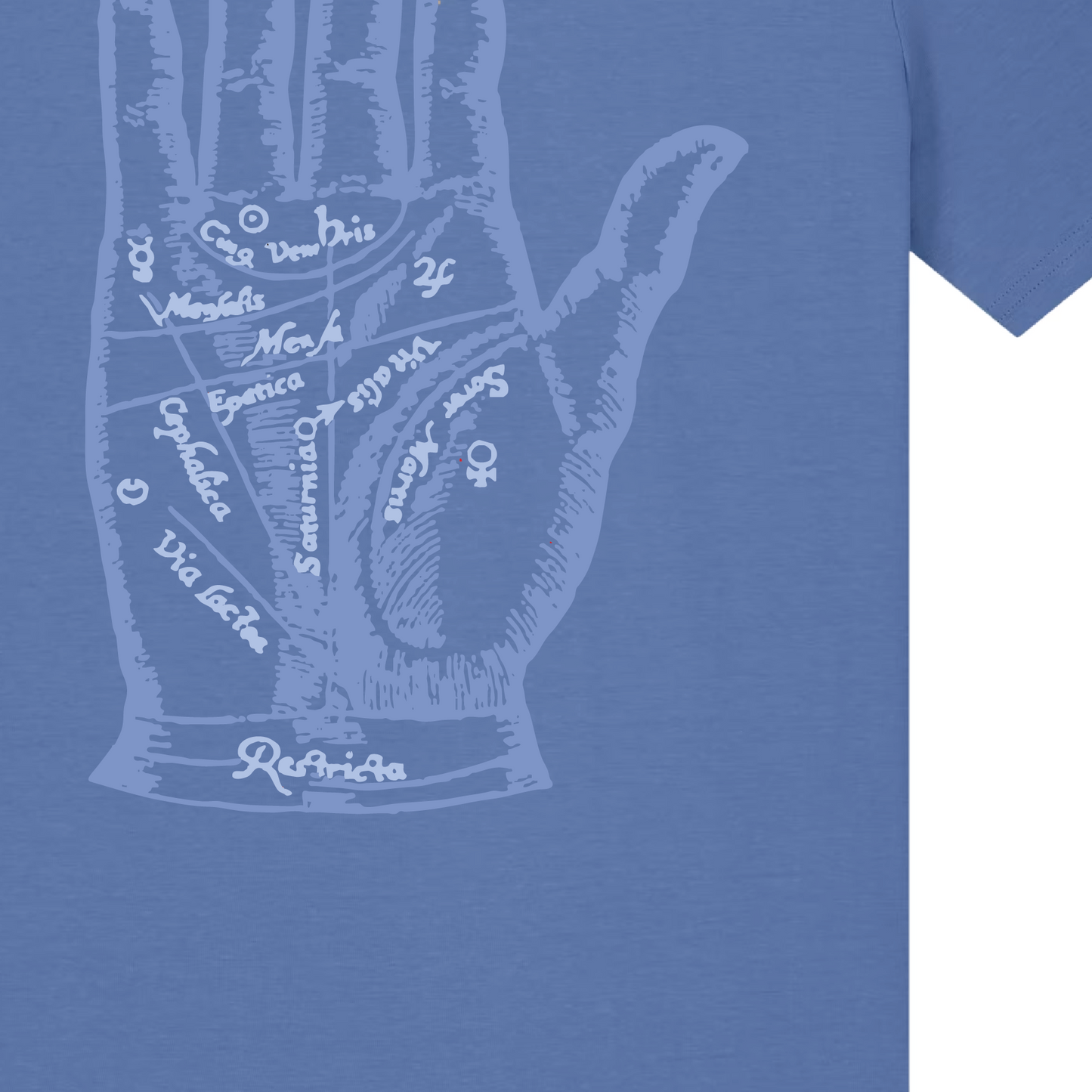 Chiromancy T Shirt Dusky Blue