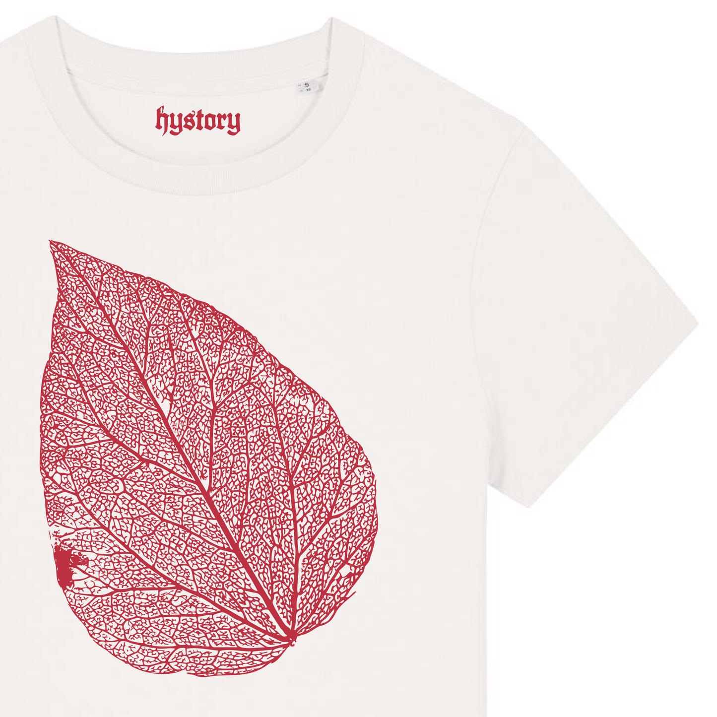 Leaf Skeleton Women's Fit T Shirt