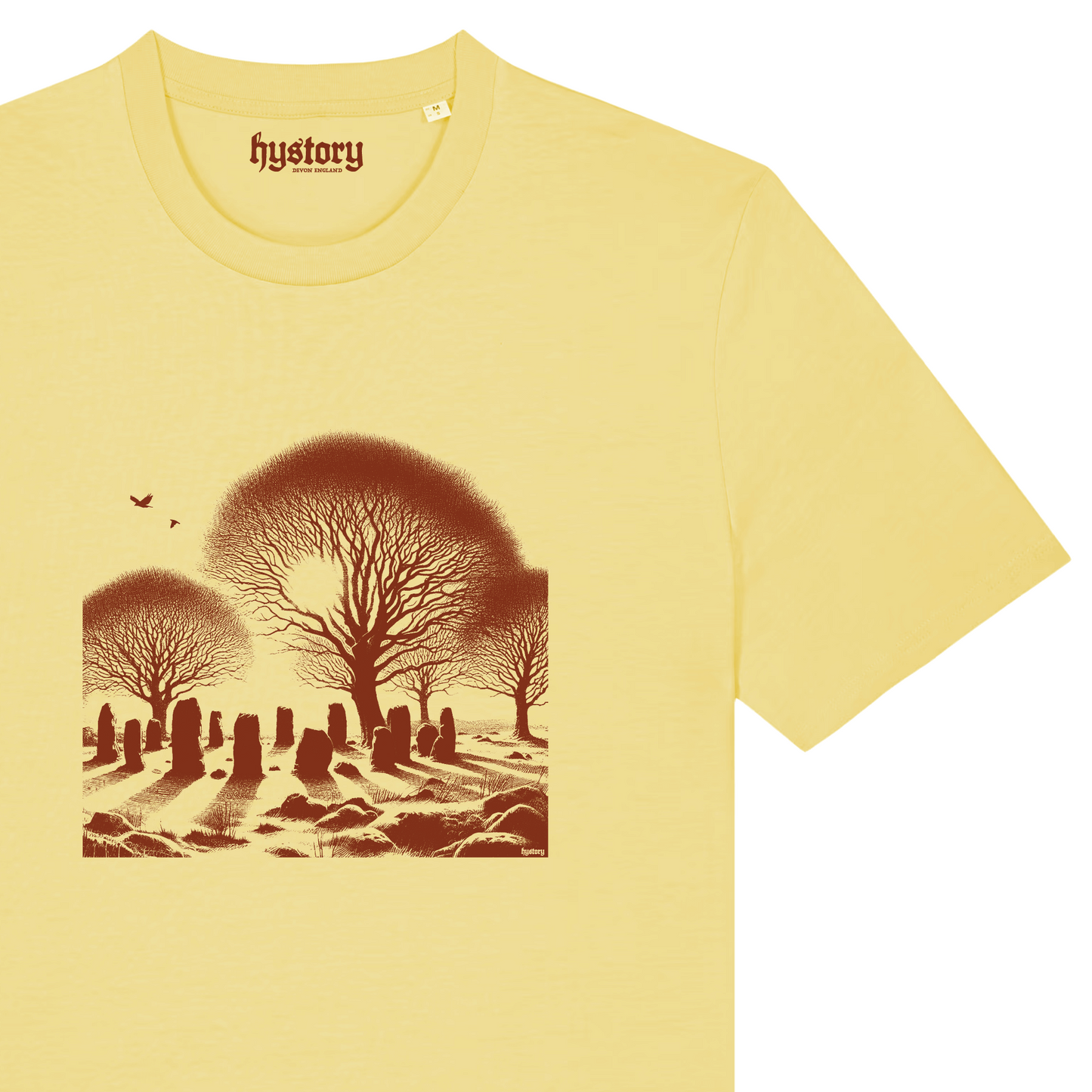 Stone Circle T Shirt