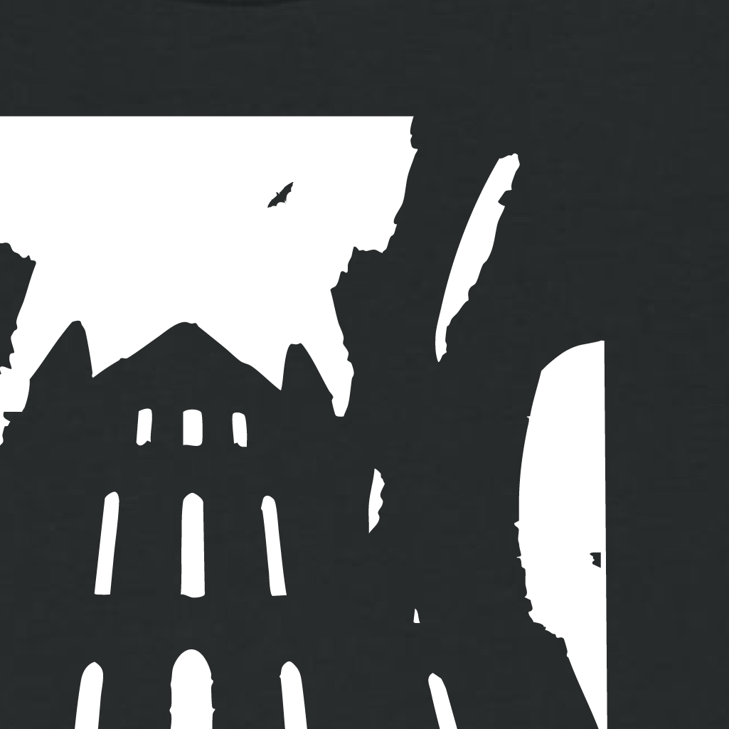 Whitby Abbey T Shirt