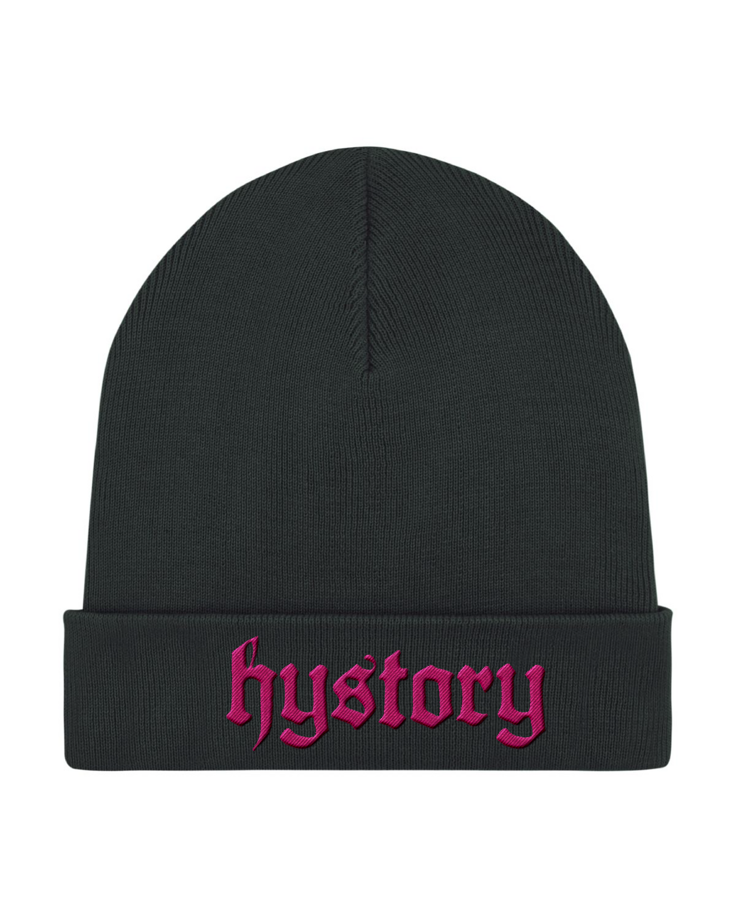 Hystory Logo Embroidered Beanie